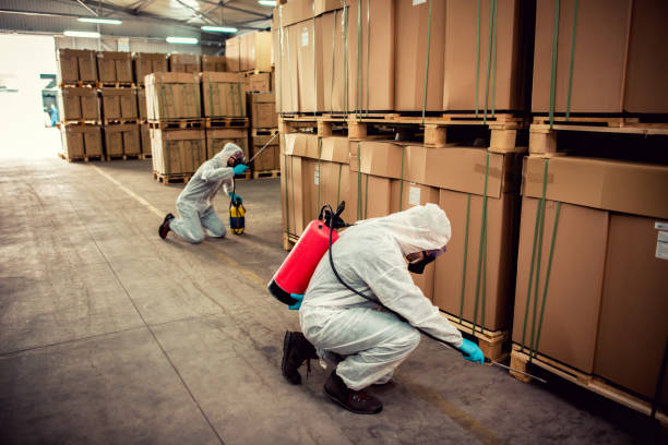 Best Pest Control Cost  in Ogden, UT