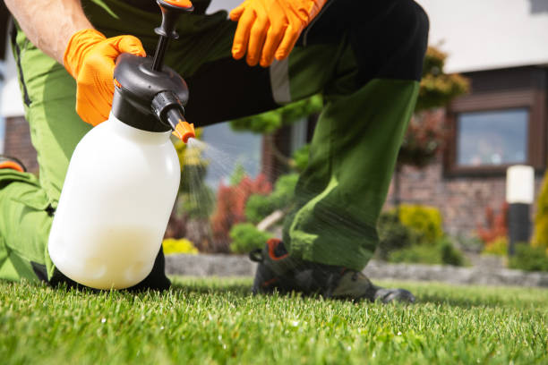 Best Wildlife Control Services  in Ogden, UT
