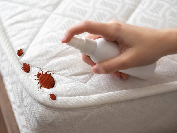 Professional Pest Control in Ogden, UT