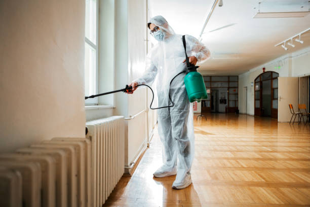 Best Flea Control Services  in Ogden, UT