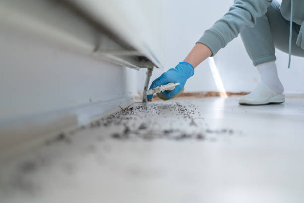 Best Pest Removal Services  in Ogden, UT
